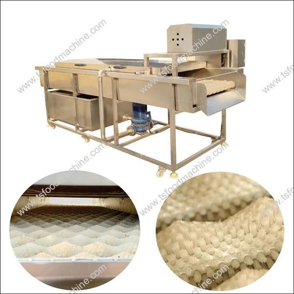 Vegetable Washer Continuous Brush Carrot Washing Machine