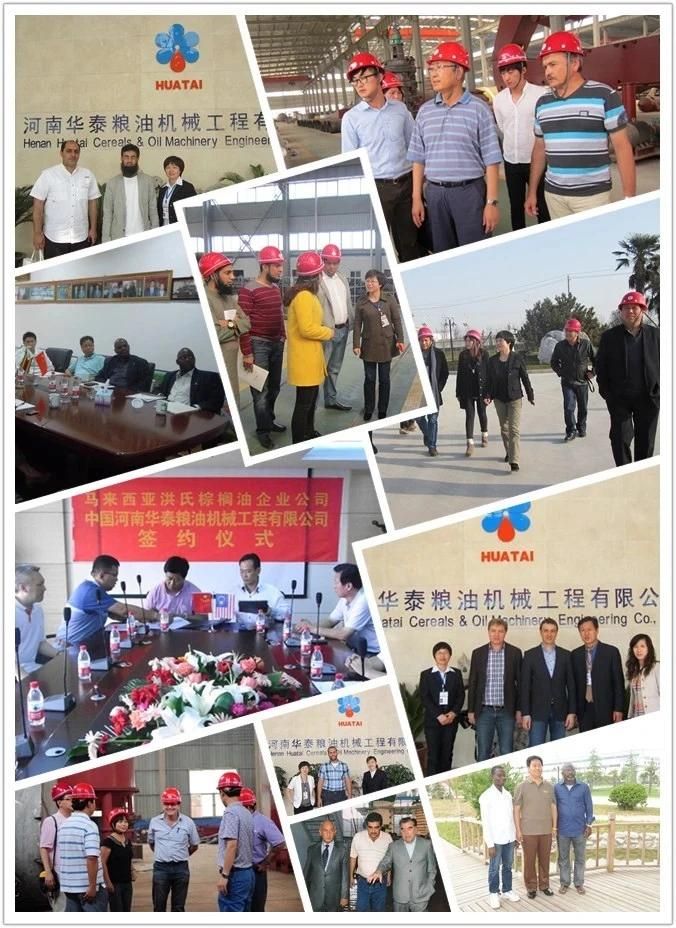 Animal Poultry Aquatic Livestock Feed Meal Fodder Feedstuff Processing Milling Machine