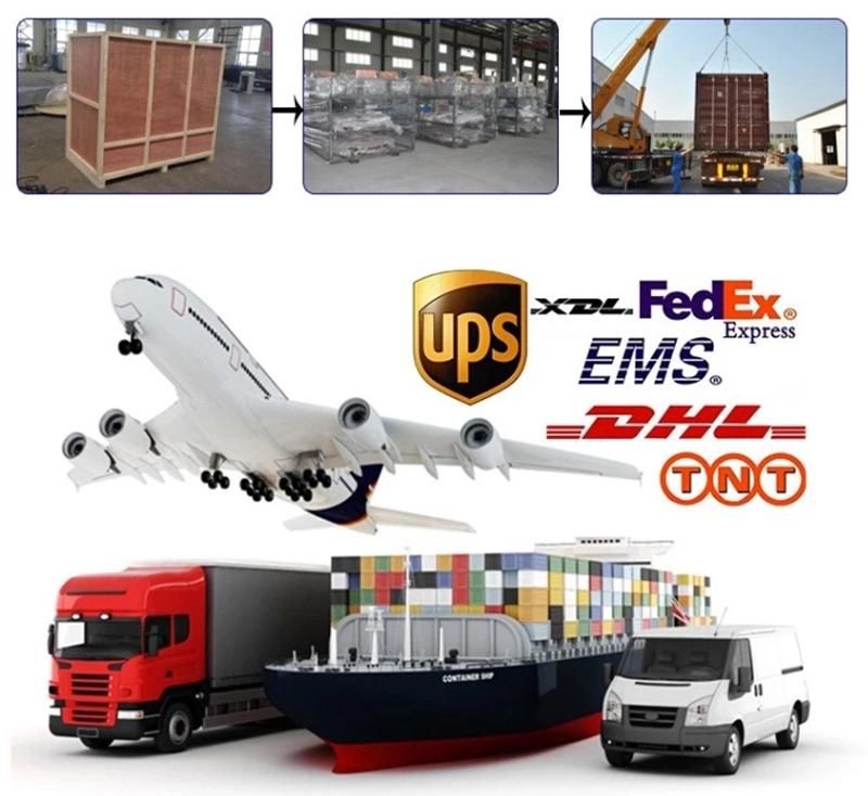 Low Price Food/Fruit Processing and Sorting Machine