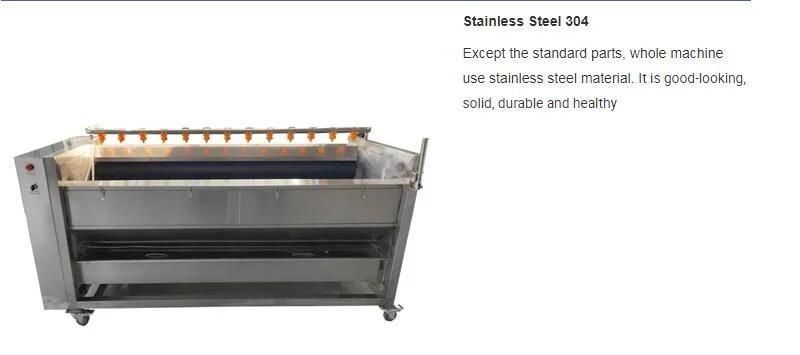 Brush Washing Peeling Polishing Machine for Vegetable and Fruit