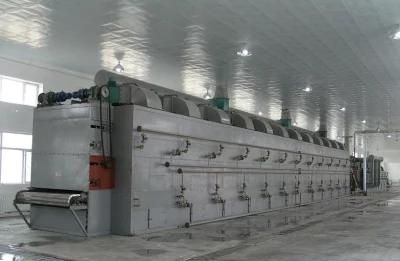 Industrial Spirulina Conveyor Belt Dryer Equipment