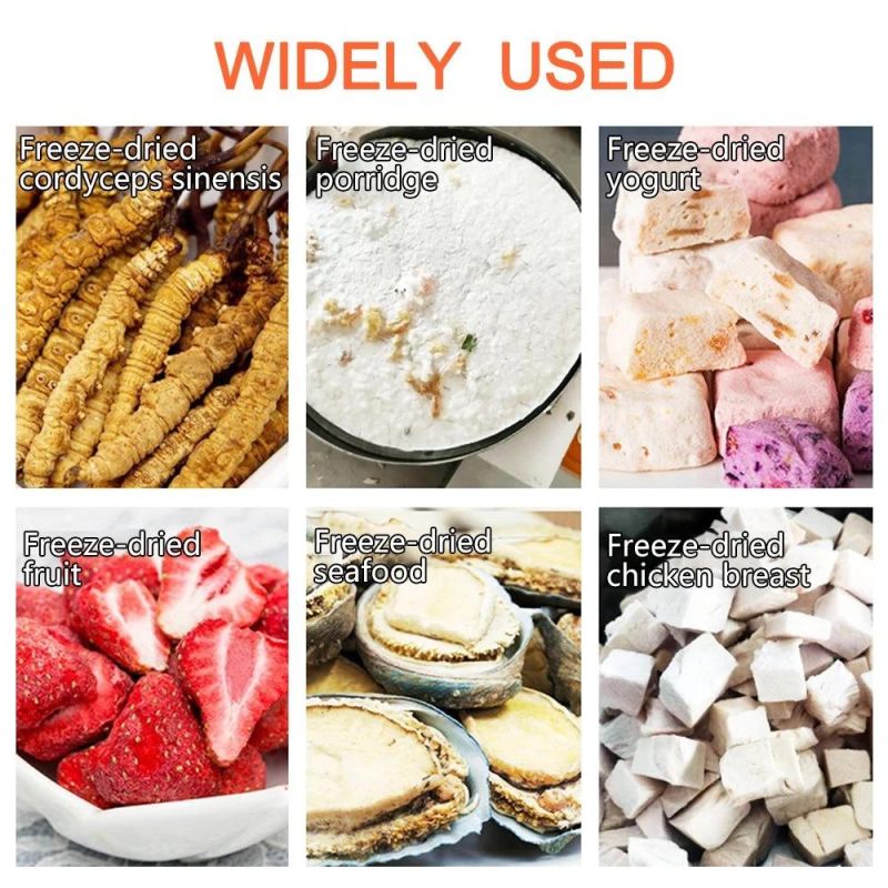 Desktop Pharmaceutical Food Chemical Vacuum Dryer Machine Freeze Dryer