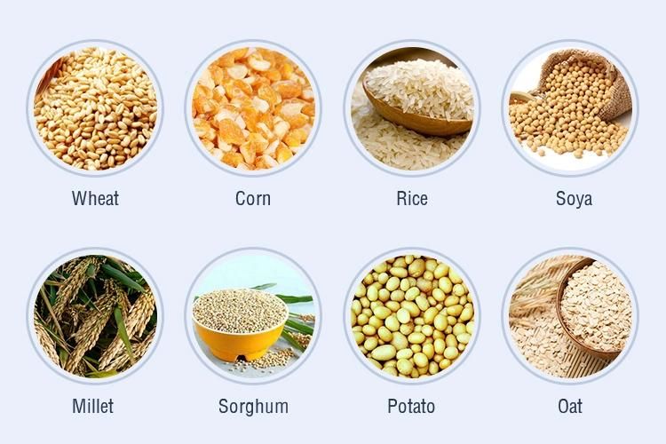 Grain Corn Wheat Rice Maize Seed Soybean Sorghum Drying Plant