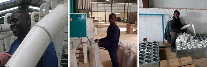 Small Grinding Wheat Flour Maize Corn Milling Grain Miller (40t)