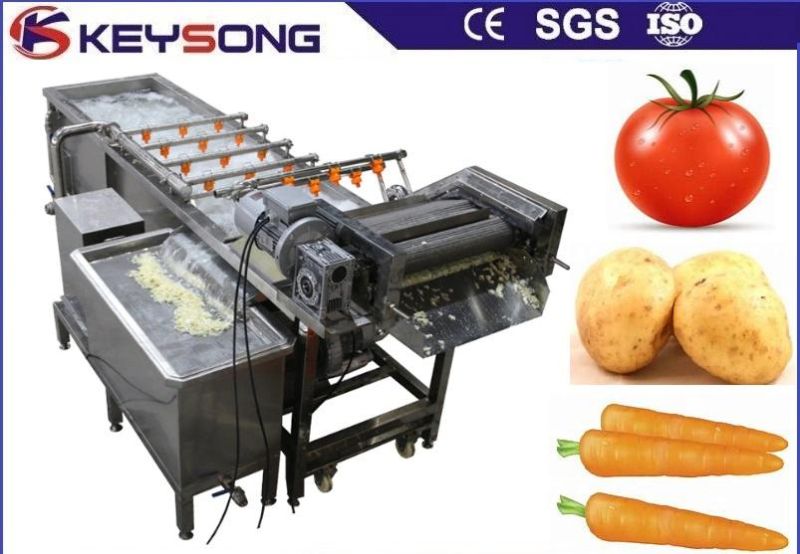 Professional Food Processing Machinery Vegetable Washing Machine