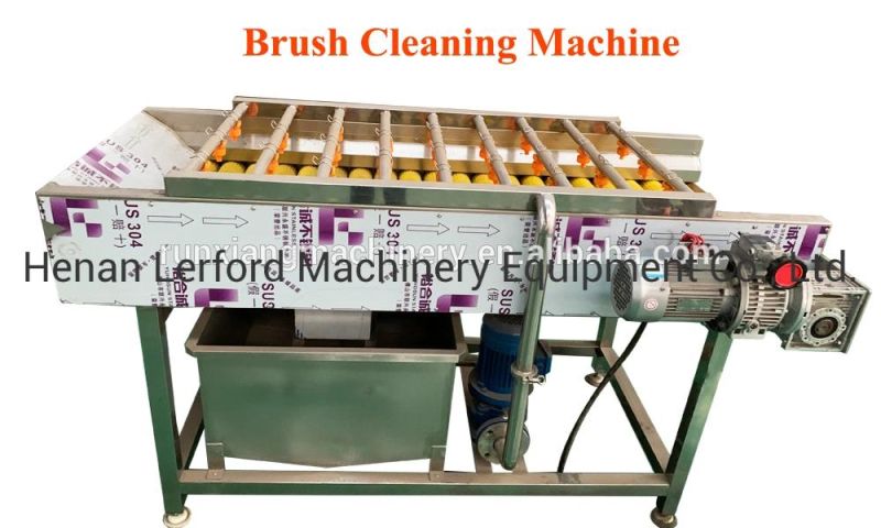 Automatic Vegetable Fruit Processing Line Fruit Vegetable Washing Machine