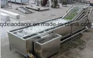Fruit and Vegetable Cleaning Machine/Bubble Washer