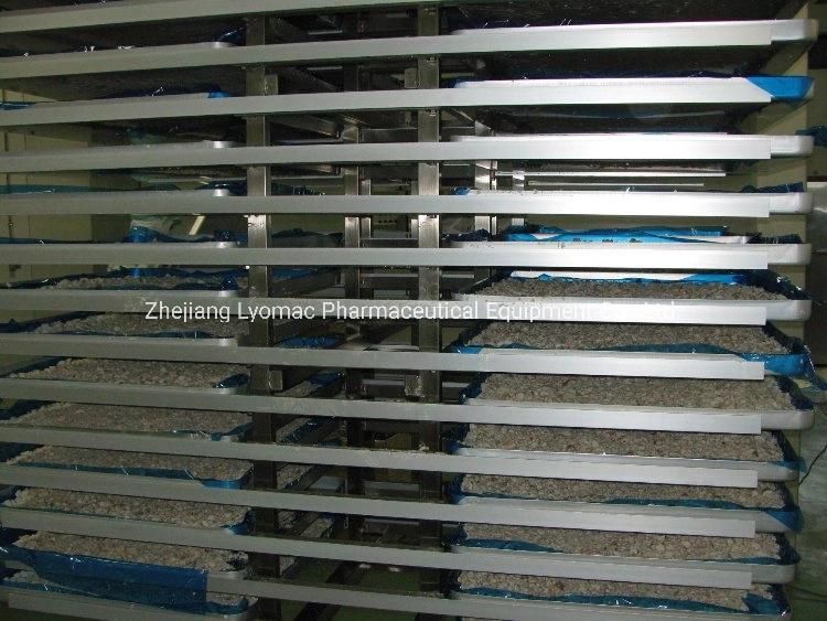 Pilot Vacuum Automatic Freeze Dryer for Food and Medicine