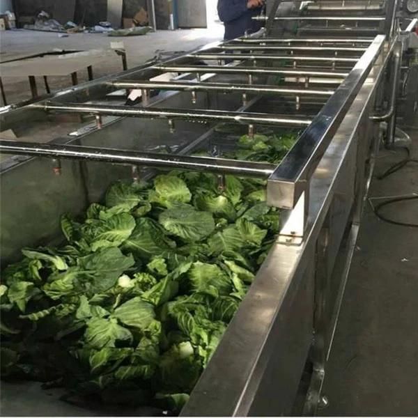 Automatic Fruit Vegetable Washer Machines Apple Washing Machine