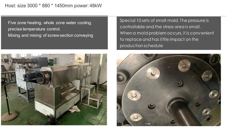 Automatic Baked Fried Fusilli Pasta Production Line