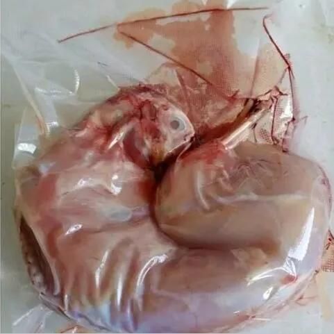 Food Vacuum Paker Sealing Machines Rabbit Meat Vacuum Pack Machine