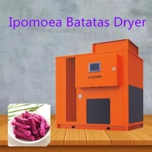 High Efficiency Automatic Ipomoea Dryer Food/Fruit/Vegetable Dehydrator Machine