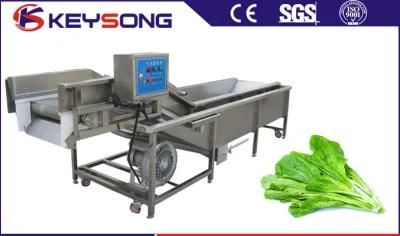 Air Bubble Type Vegetable Leaf Spinach Fruit Washing Machine