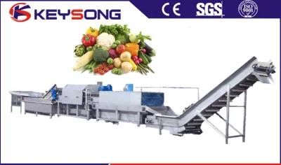 Sweet Pepper and Chilli Water Air Bubble Cleaning Vegetable Washing Machine