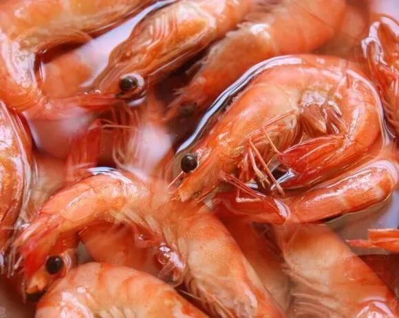 Steam Blanching and Precooking Machine Shrimp Boiling Machine