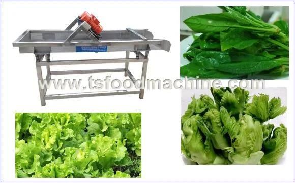 Vegetable Processing Machine and Vegetable Drain Machine