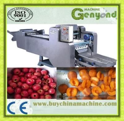 Date Pitter Machine Fruit Seeds Removing Machine