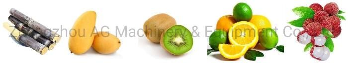 Electrical Apple Orange Tomato Watermelon Soursop Juice Making Machine