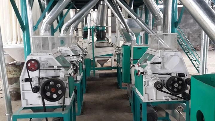 Africa 30 Ton Per Day Maize Grinding Hammer Mill Machine