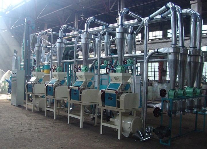 Best Price Full Automatic Maize Flour Mill Milling Maize for Breakfast Meal and Roller Meal