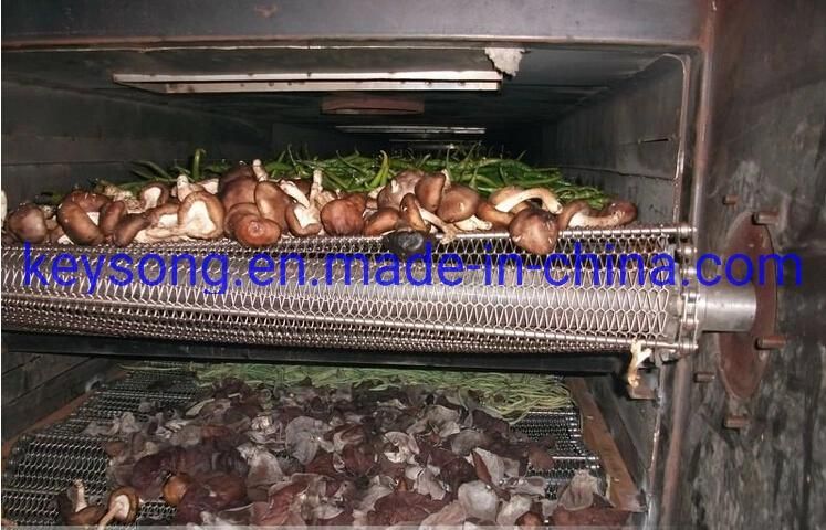 Vegetable Fruit Mango Grape Mesh Belt Baking Drying Machine
