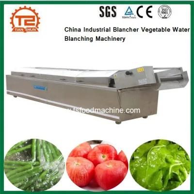 China Industrial Blancher Vegetable Water Blanching Machinery