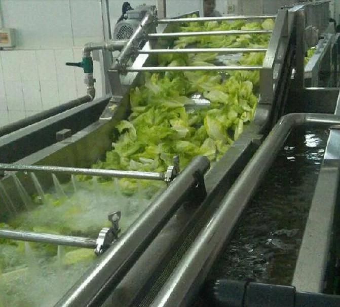 Leafy Vegetables Washer Destoner Cleaning Machine Lettuce Bubble Washing Machine