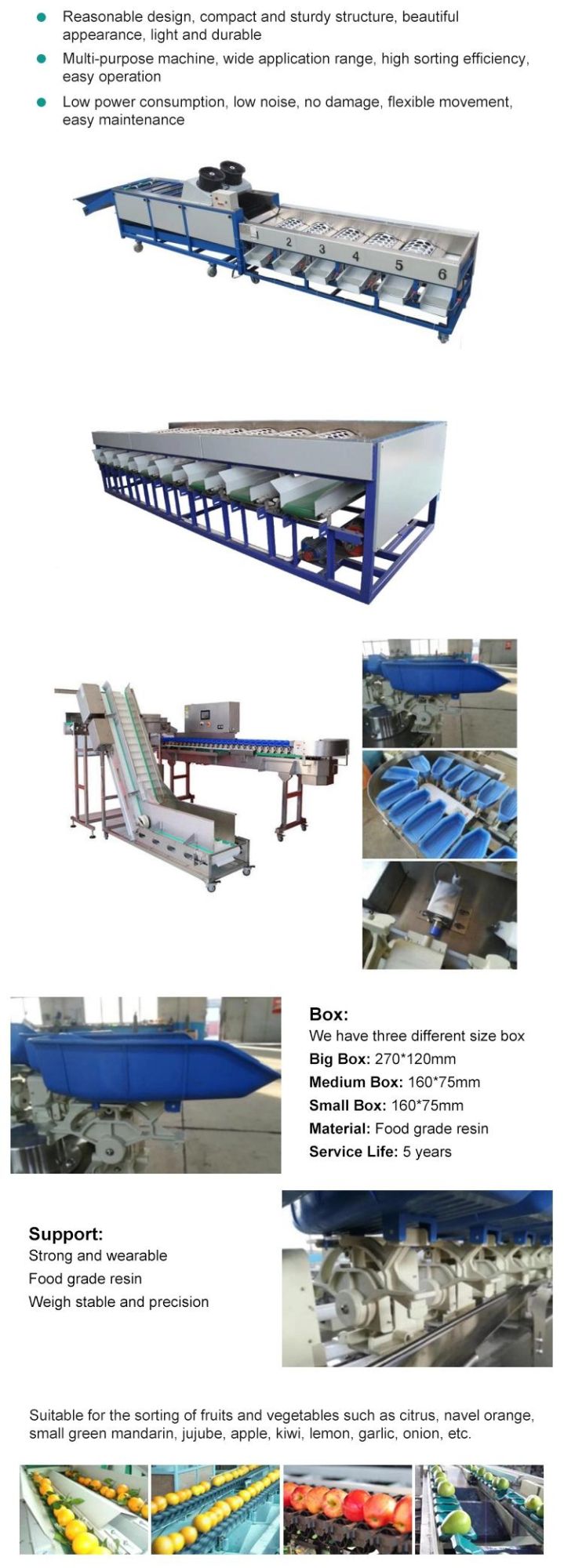 Commercial Avocado Onion Size Grading Sorting Machine