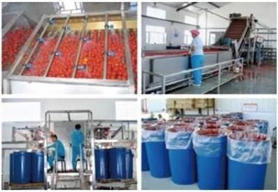 Shanghai Weishu Tomato Paste Processing Machine Tomato Juice Production Line
