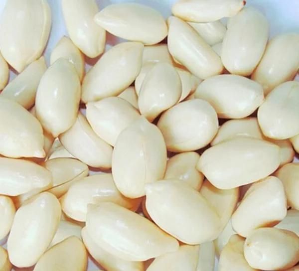 Continuous Conveyor Belt Blanche Machinery Groundnut Blanching Machine
