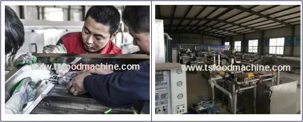 Potato Processing Equipment French Fries Potato Chips Production Line French Fries Processing Equipment