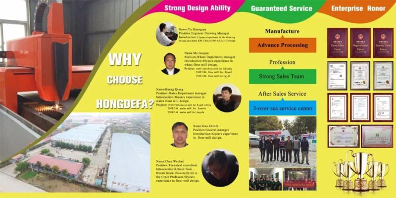 Full Automatic Maize Flour Machine/Maize Flour Mill/Maize Milling Plant
