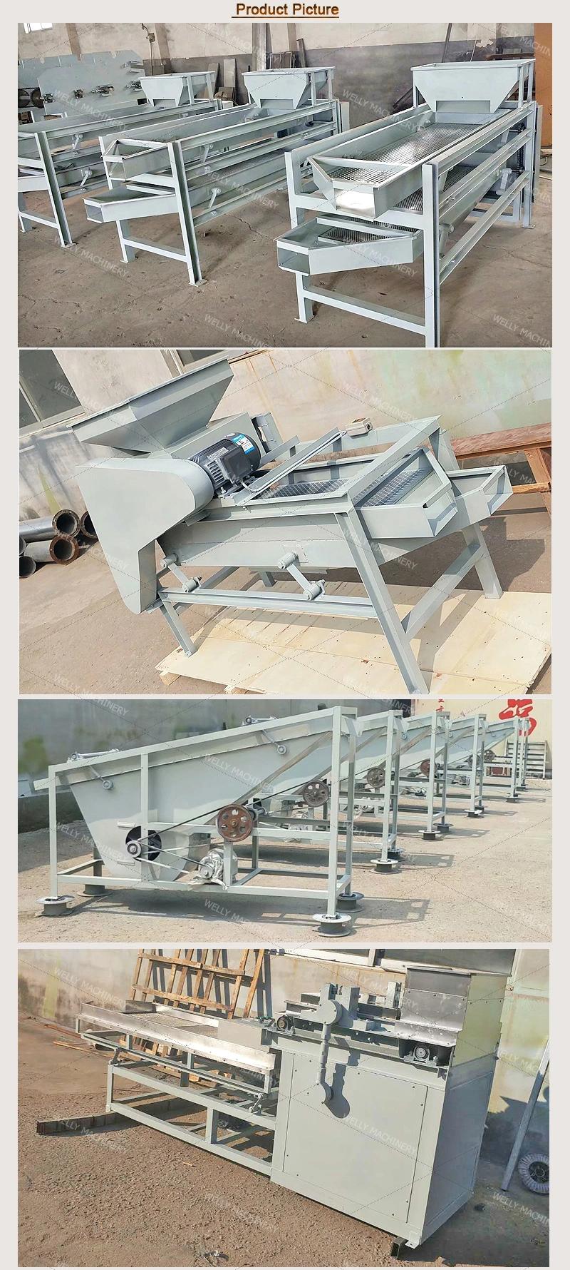 High Capacity Hazelnut Separator Sorting Chopping Peeling Machine