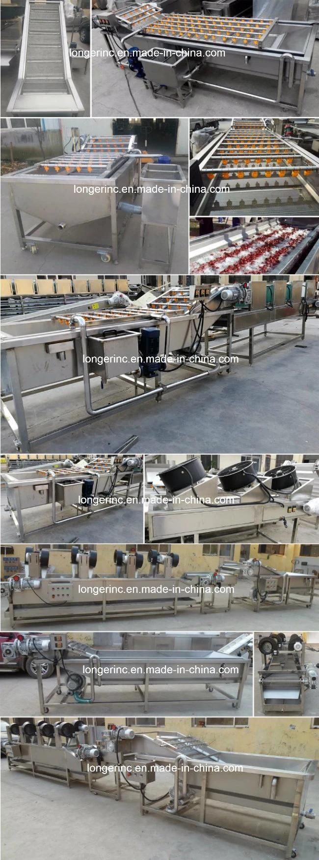 Industrial High Pressure Fruit and Vegetable Washer Machine