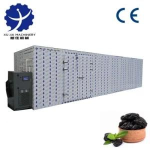 Plum Automatic Hot Air Drying Machine