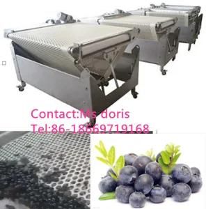 Apple Fruit Sorting Machine/Cherry Sorting Machine / Fruit Grader