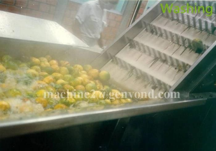 Complete Fig Powder Production Line