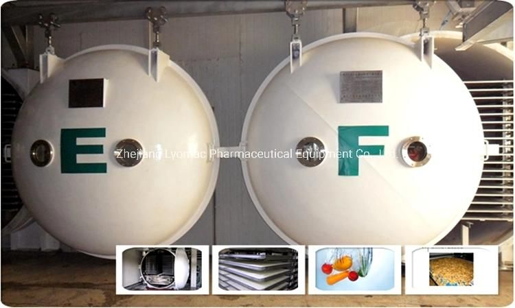 Food Vacuum Freeze Dryer for Vegetables Fruits Herb Coffee and Convenient Soup