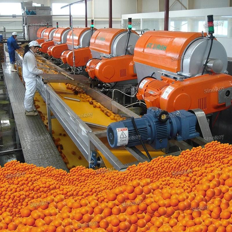 120 Tons Diversity Fruit Production Lines Machines for Apricot Paste, Citrus Grape NFC Juice, Avocado Puree Jam Sauce Ketchup Aseptic Bag in Box Package