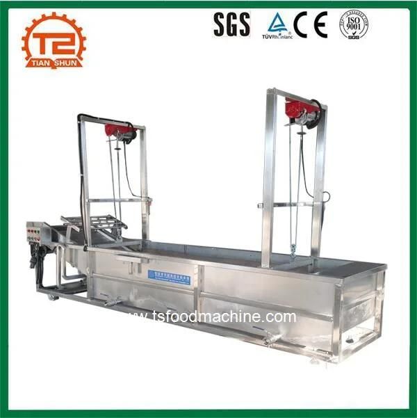 High Pressure Automatic Washing Equipment, Tsxq-50 Fruit and Vegetable Bubble Washer