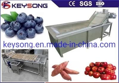 Fruit Food Vegetable Bubble Cleaning Equipment Washer