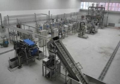 Full Line Fermented Juice Processing Machines Small to Large Scale Line Available