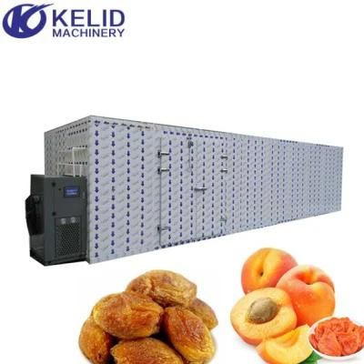 Apricots Hot Air Drying Machine