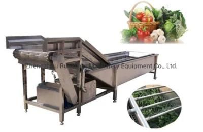 Vegetable Potato Carrot Washing Peeling Sorter Packing Processing Machine (WS)