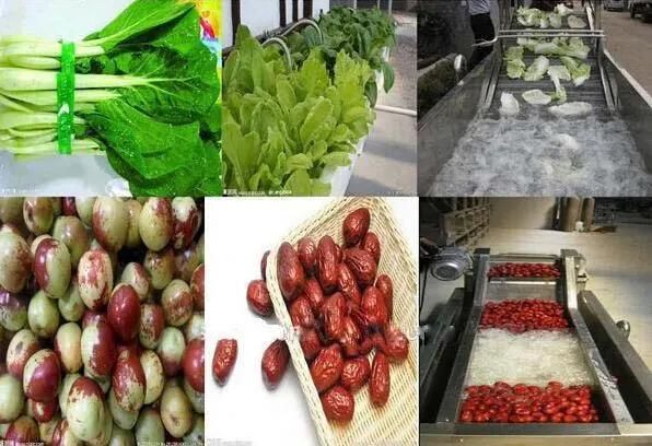 Dehydrated Vegetable Fruits Processing Line