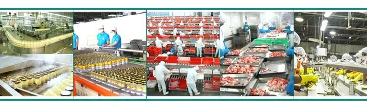 Beef Chicken Feet Meat Cooking and Blanching Machine
