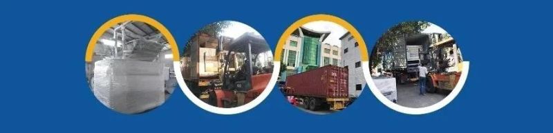 Skywin Chocolate Refiner and Conche Machine Food Equipment Price