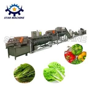 Industrial Fruit and Vegetable Processing Line