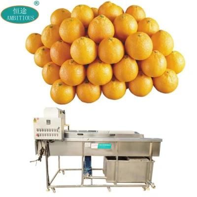 Fruit Washing Cleaning Machine Brush Roller Orange Washer