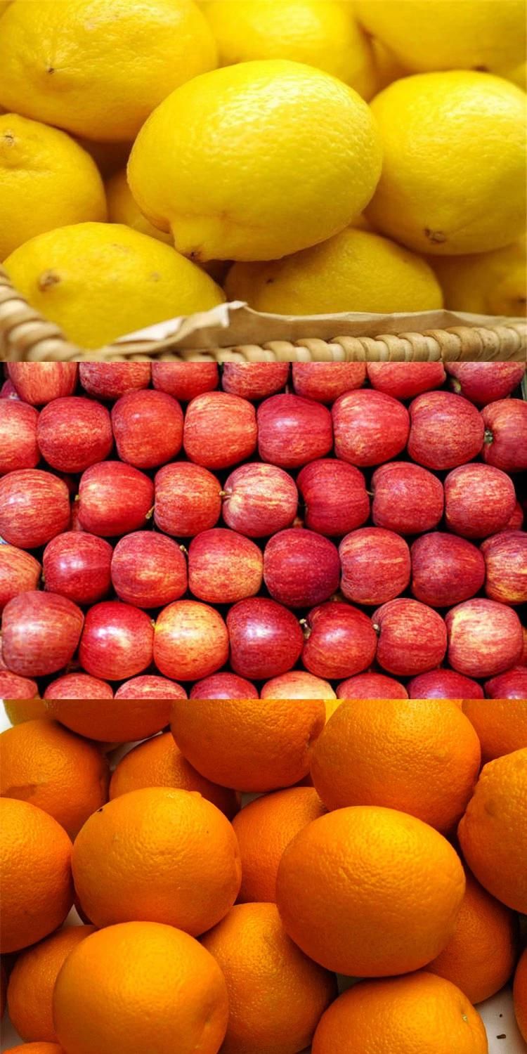 Fruits Cleaning Washer Big Tank Rush Roller Apple Orange Washing Machine